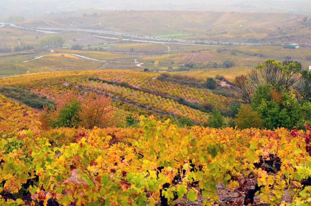el_bierzo_wine_region