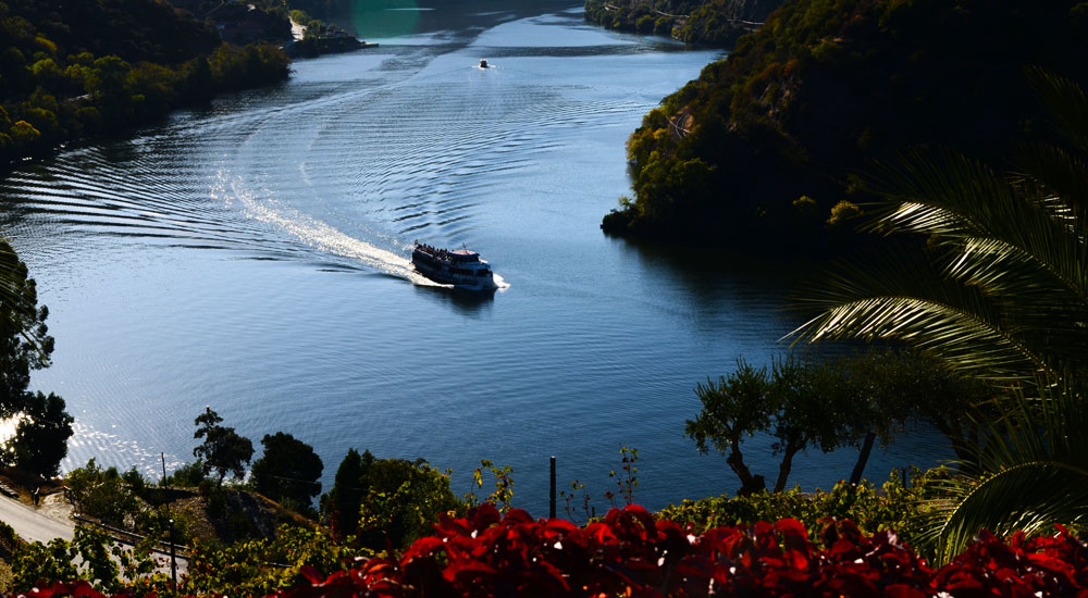 alto_douro-17-27a