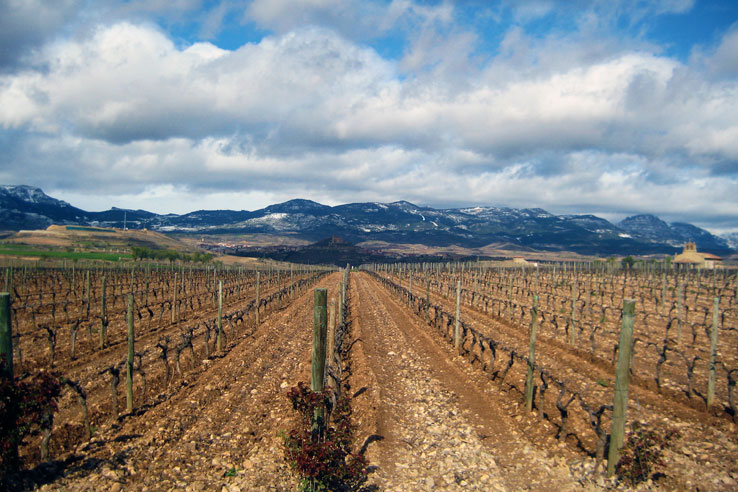 Looking north to San Vencente