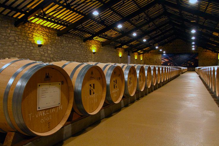 Bodegas C.V.N.E.
