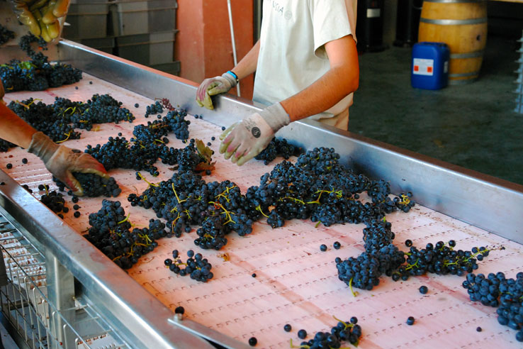 Bodegas Comenge