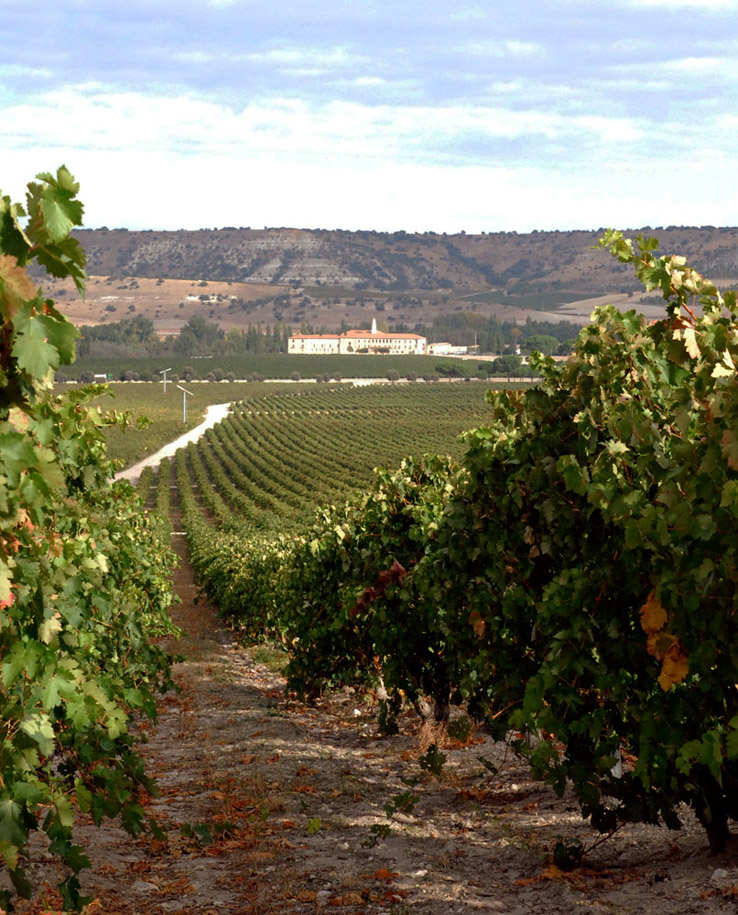Abadia-10-02e