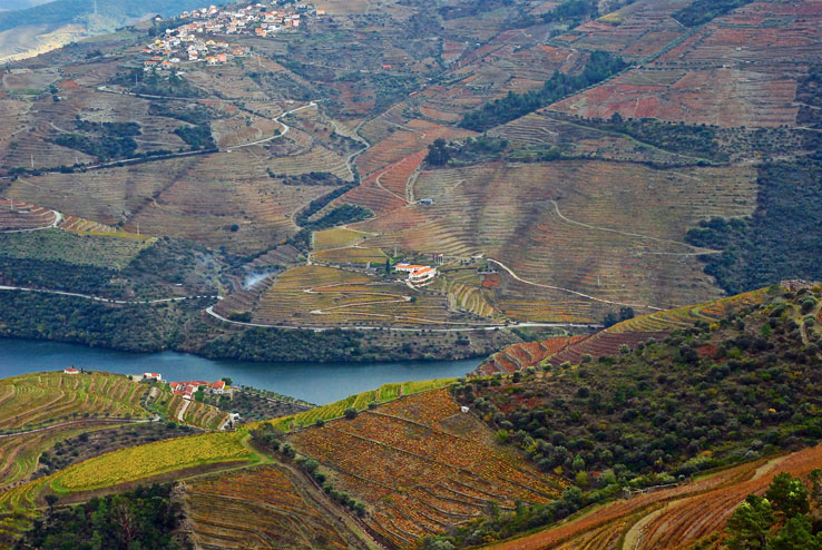 View from Quinta do Crasto