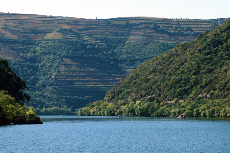 Cruising the Alto Douro