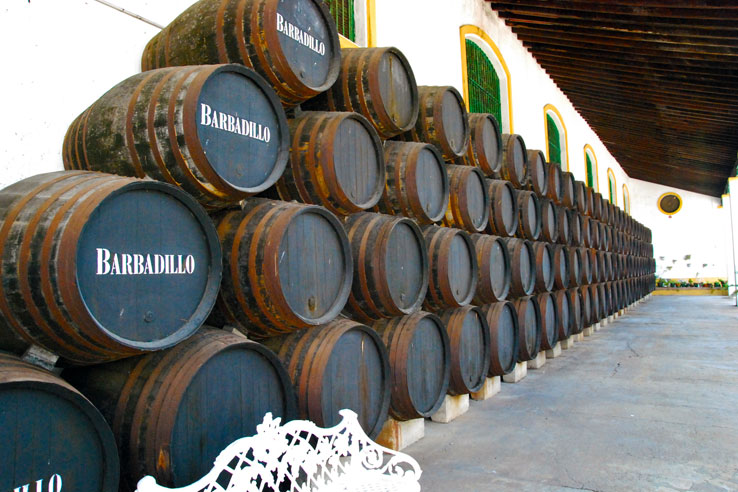 sanlucar-10-307e