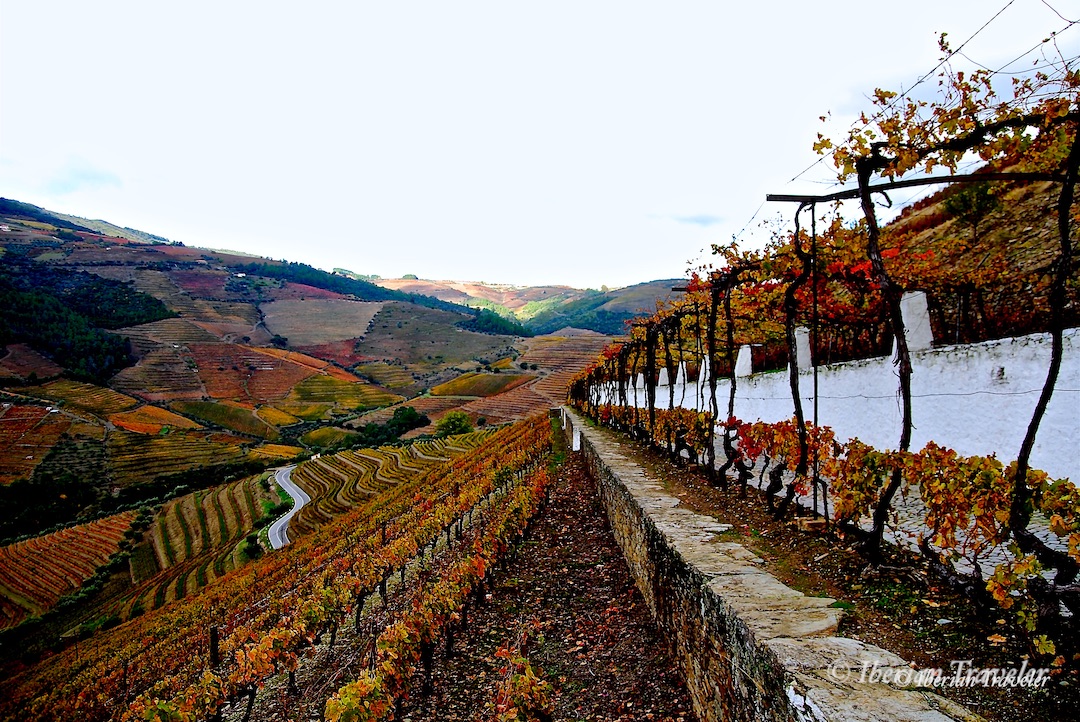 quinta do noval